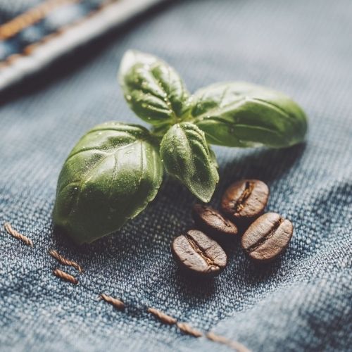 Basil leaf and coffee beans on textured fabric, macro materials study, FIOR